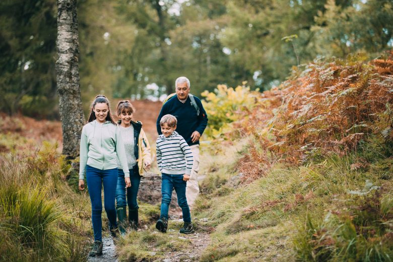 A family hike through the woods representing transferring fostering agency in Essex or London